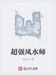 顶级风水师简介