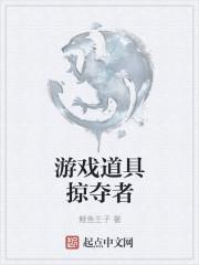 游戏道具掠夺者怎么用