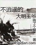 大明逍遥王爷完整版