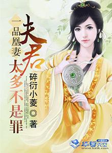 一品夫君三流妻好看吗