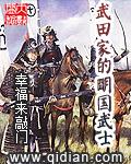 武田家的明国武士好看吗