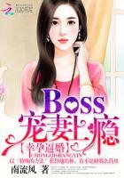 幸孕婚宠隐婚boss追逃妻免费阅读