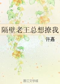 隔壁老王厉害