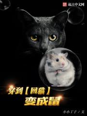 回去变成猫