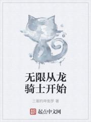 无限从龙骑士开始TXT